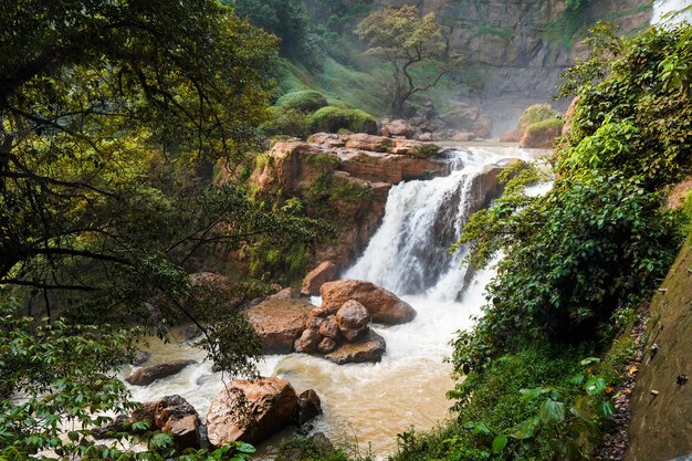 Foto una cascata nella foresta con uno sfondo verde