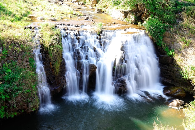 A waterfall in the forest with a green background