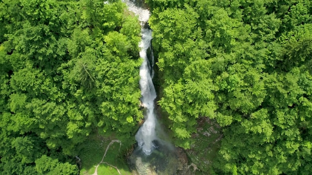 A waterfall in the forest with green trees and a river in the background