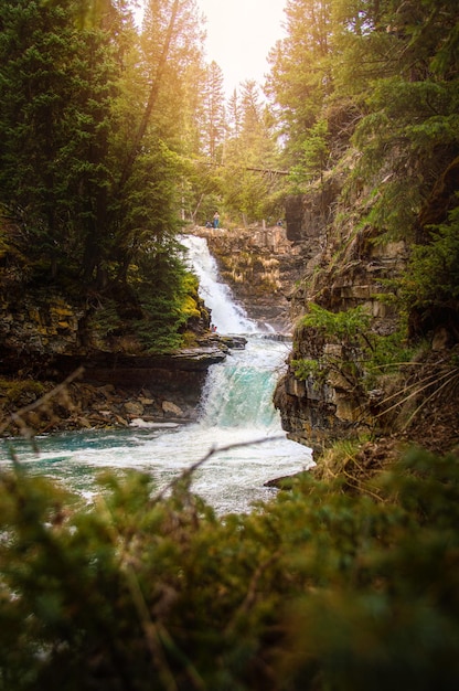 A waterfall in a forest with a person standing in front of it