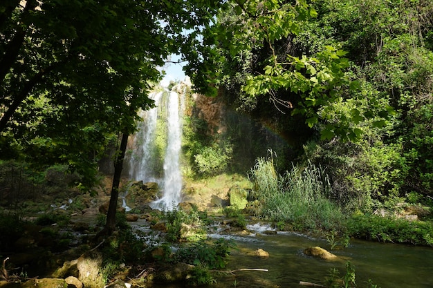 A waterfall in the forest with a rainbow in the background
