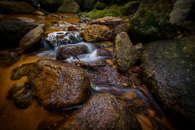 Foto la cascata nella foresta con luce soffusa