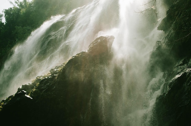 Photo waterfall at forest