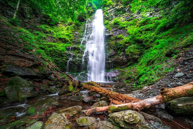 Photo waterfall in forest