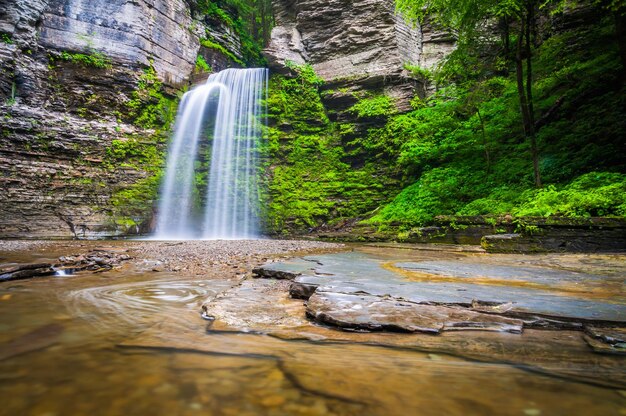 Waterfall in forest