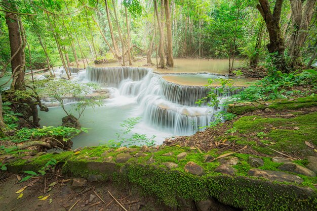 Photo waterfall in forest