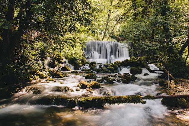 waterfall in forest