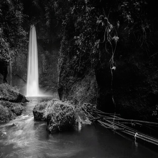 Photo waterfall in forest