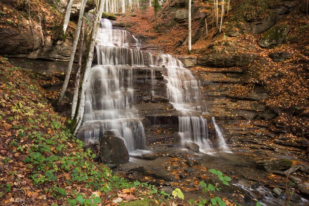 Foto cascata nella foresta