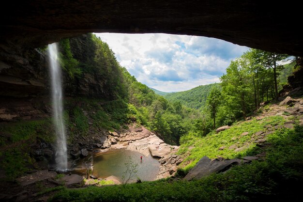 Foto cascata nella foresta