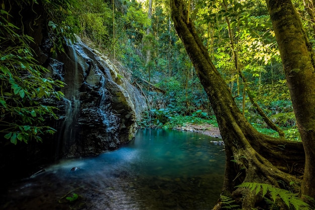 Photo waterfall at forest