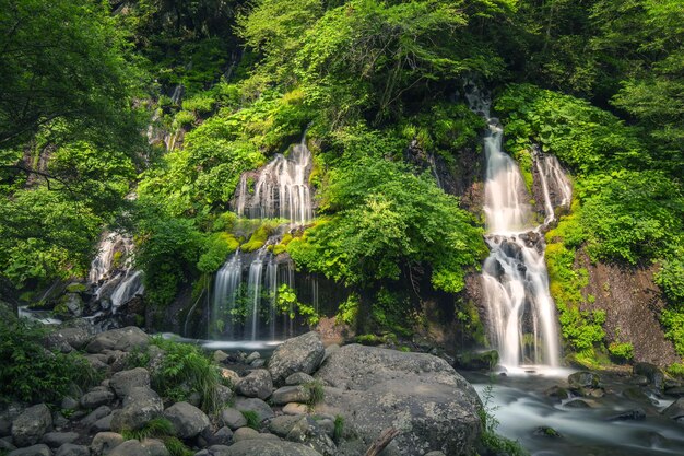 Photo waterfall in forest