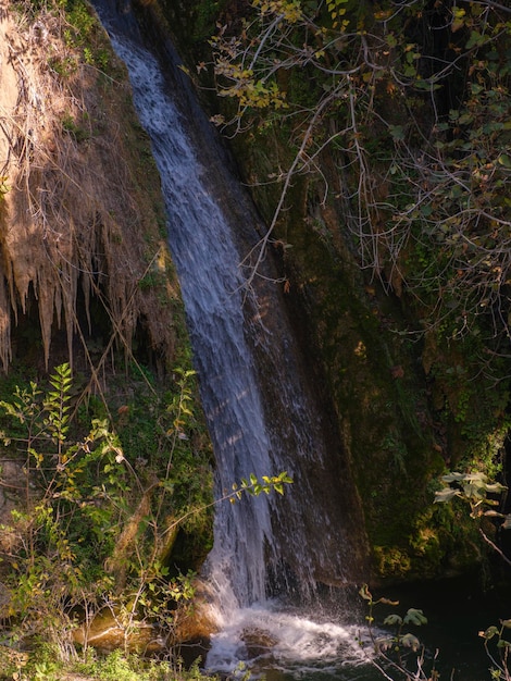 Una cascata nella foresta