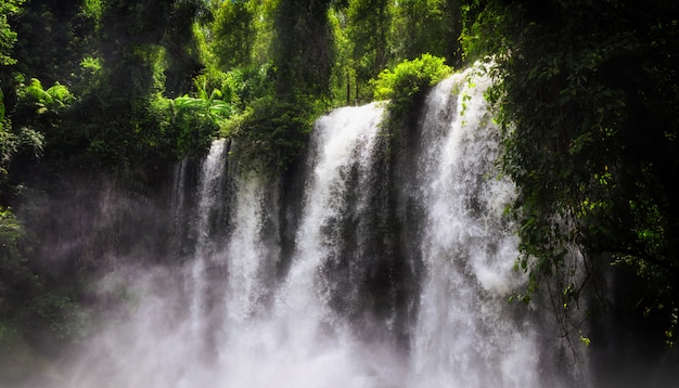 Waterfall in forest