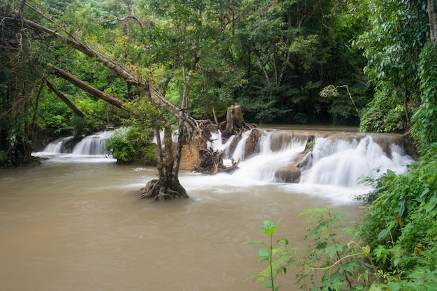 Foto cascata in una foresta