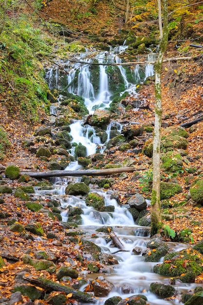 Waterfall in Forest