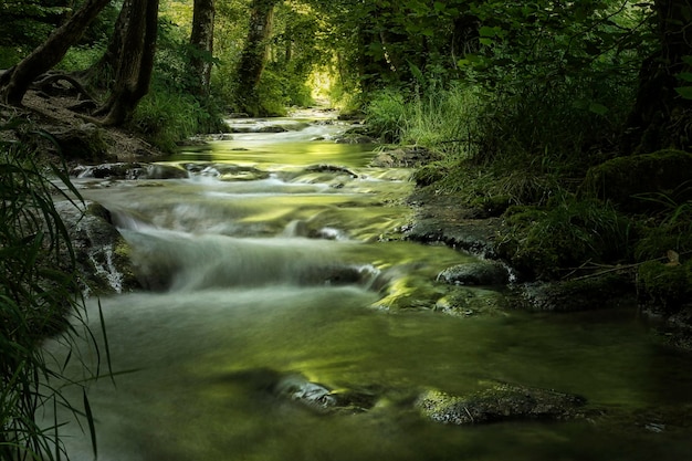 waterfall in the forest