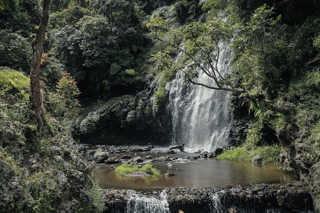 Cascata nella foresta verde di west java indonesia