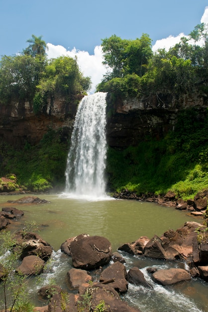 Waterfall at the Iguazu Falls