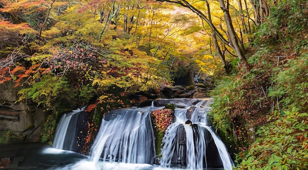 写真 秋の木々がある東京軽井沢の森の中の滝
