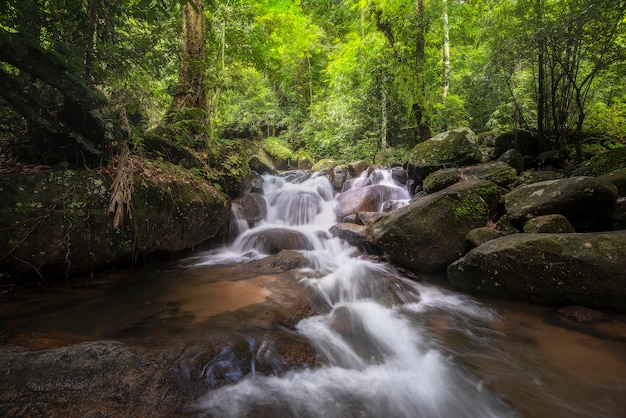 Фото Водопад в глухом лесу