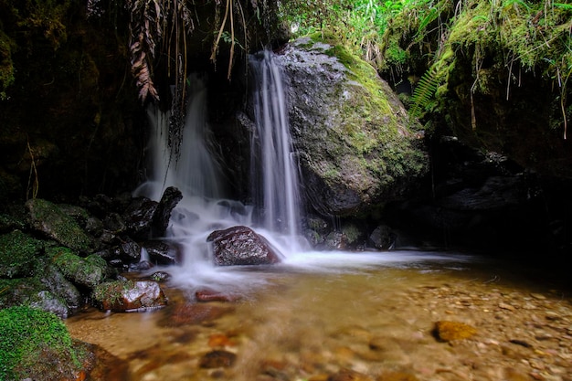 Фото Водопад в джунглях