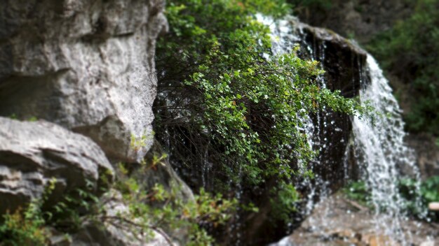 写真 山の