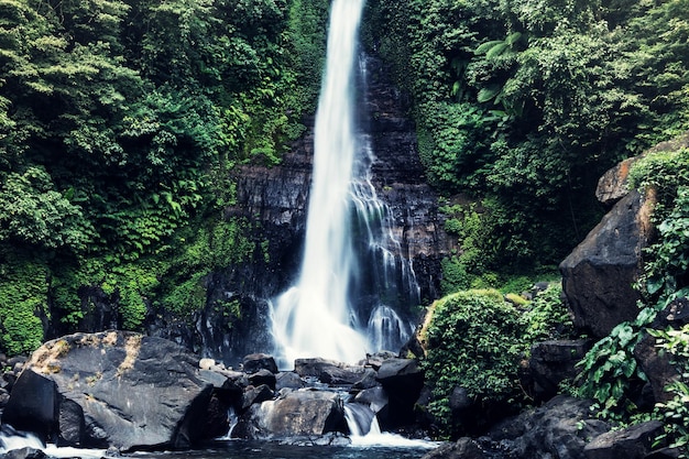 インドネシアの滝