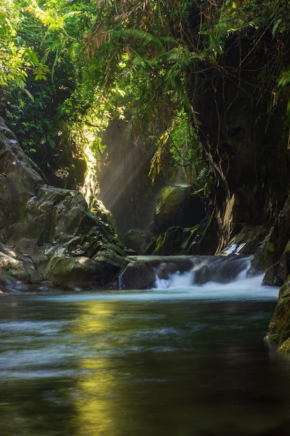 Waterfall in indonesian tropical forest with morning sun