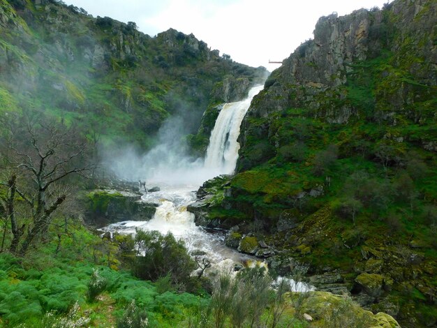 Photo a waterfall is in the middle of a green mountain