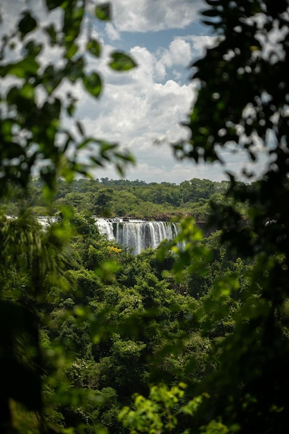 Photo a waterfall is seen through the trees and the sky is white