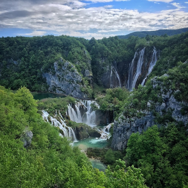 A waterfall is shown in the middle of a forest.