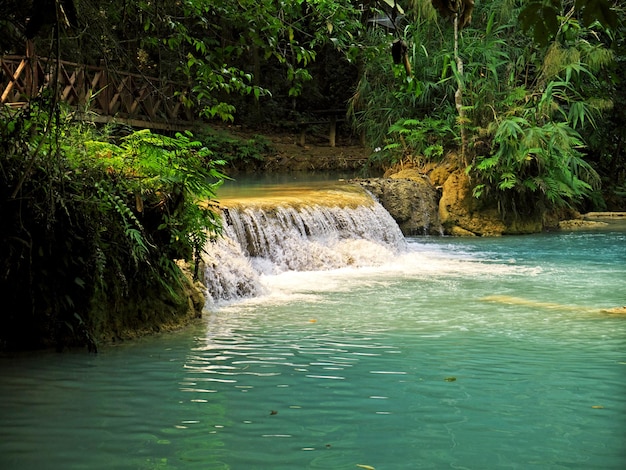 La cascata nella giungla del laos