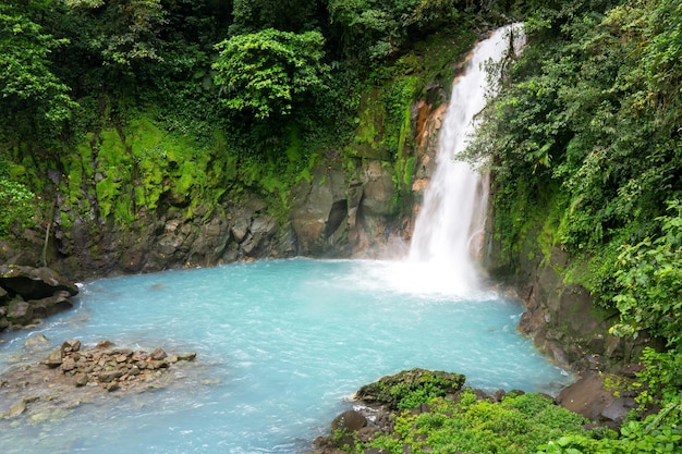 Waterfall in the jungle