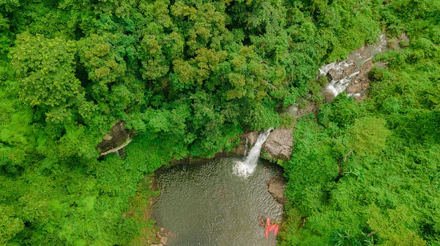 Waterfall in the middle of the forest.