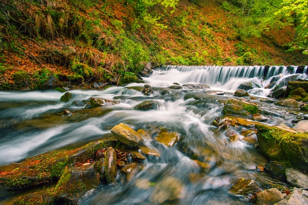 Waterfall on mountain river in autumn forest