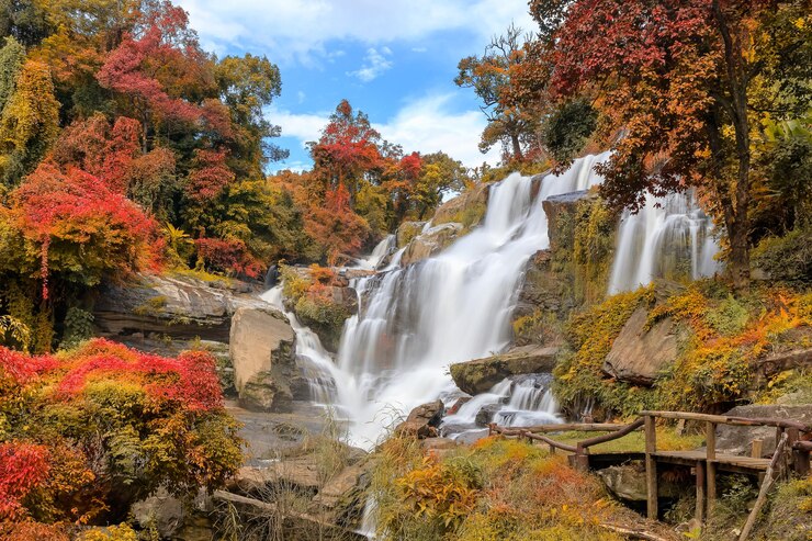 Photo 秋の国立公園の