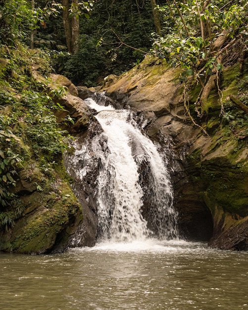 waterfall in a natural paradise