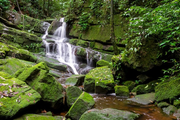 Waterfall among nature green moss and rock