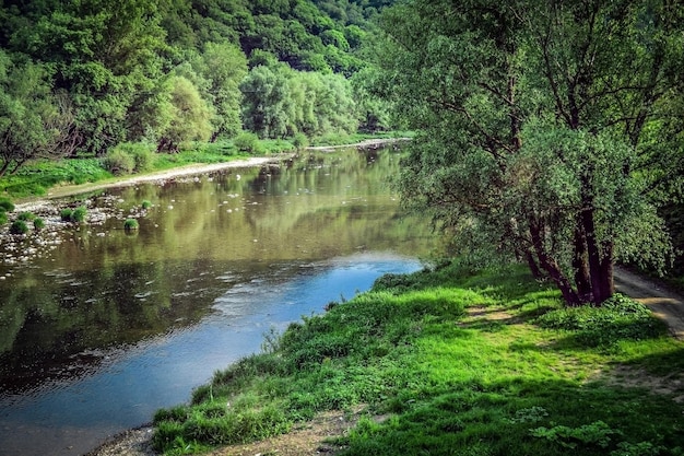 Водопад в парке Пейзаж у горной реки