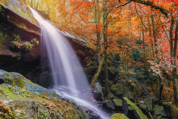 Photo waterfall at phu kradueng national park loei thailand beautiful landscape of waterfalls in rainforest