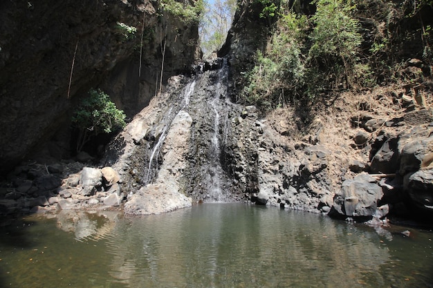 A waterfall in a pool with trees in the background