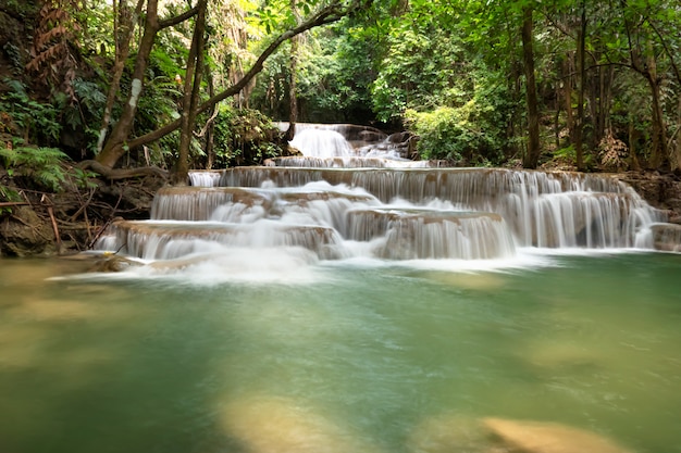 Waterfall in rainforest 