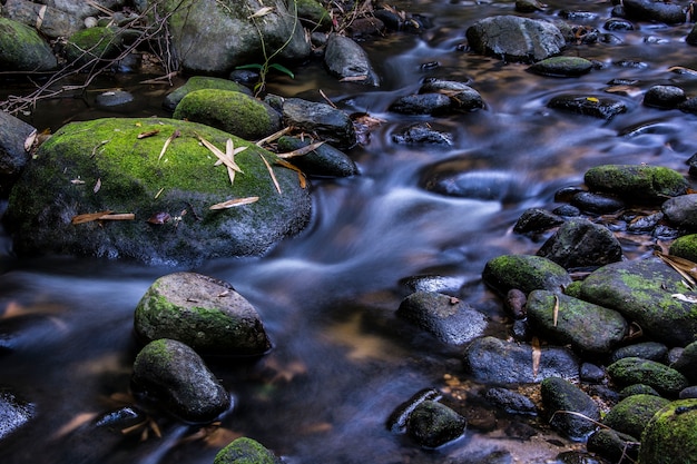 Waterfall river in deep forest