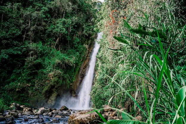 Waterfall and river in the middle of the jungle. Turrialba, Costa Rica