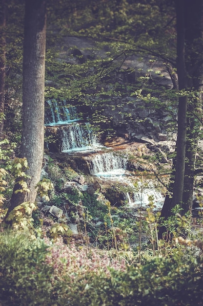 Waterfall on the rocks around which grow trees with green leaves and grass, dark Vintage filter