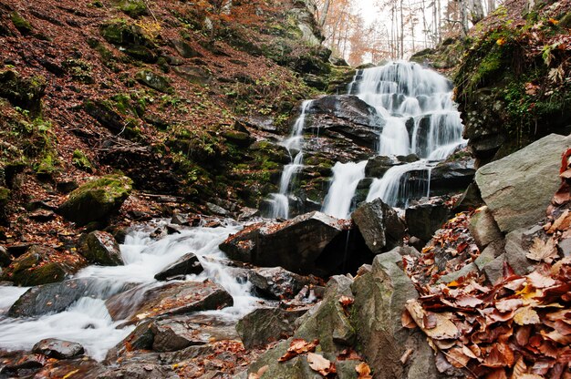 Cascata shypit su borzhava, villaggio di pylypets sui monti carpazi. ucraina. europa. incredibile cascata del mondo nella foresta di autunno. la bellezza del mondo.