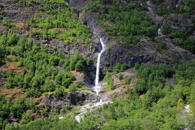 ソグネ フィヨルド ノルウェーの滝