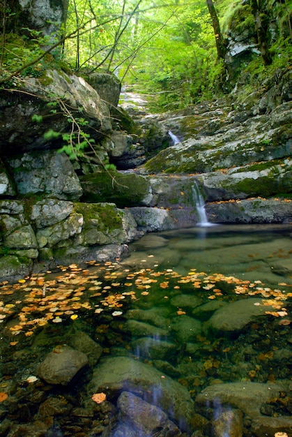 Waterfall at the source of the La Bidouze river in the French Basque PyreneesFrance