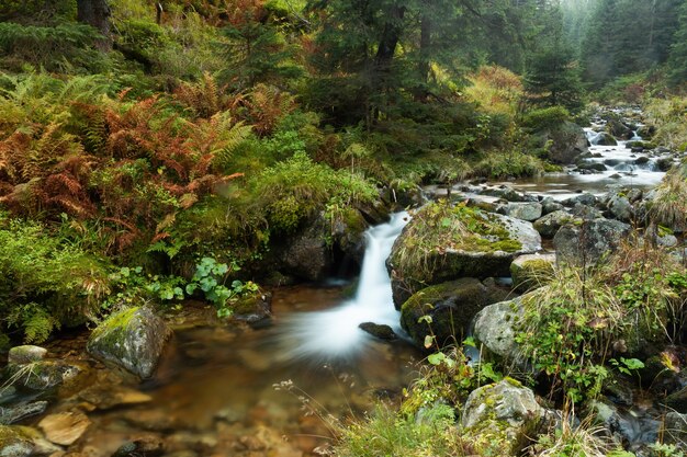 Waterfall splattering in pure green environment in fall